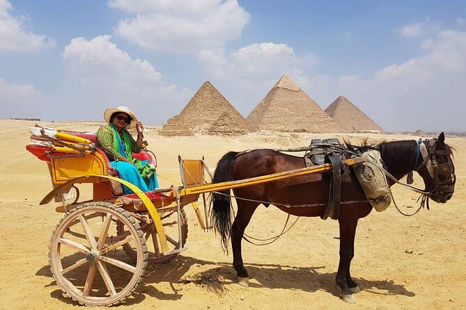 Private Half Day Tour to Giza Pyramids & Great Sphinx From Cairo - Accessibility & Participation