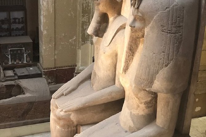 Private Half Day Tour to the Egyptian Museum - Accessibility