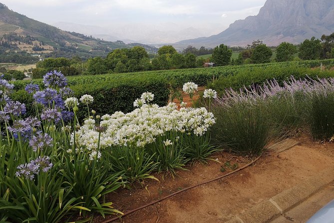 Private Half Daytour:Cape Winelands, Stellenbosch From Cape Town - Tour Duration and Flexibility