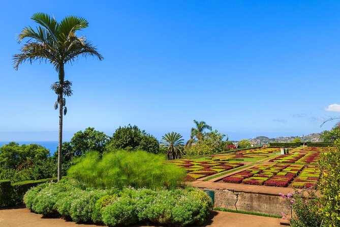 Private Halfday Madeira Garden Tour - Exploring Monte Palace Tropical Garden