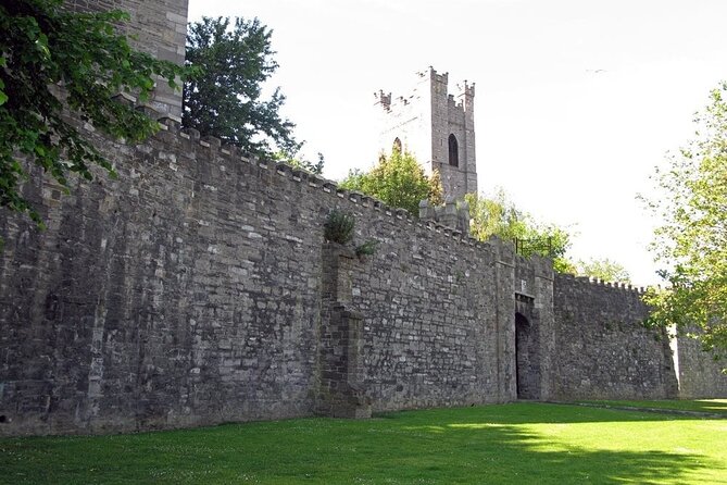 Private Medieval Walking Tour in Dublin - Meeting and Pickup