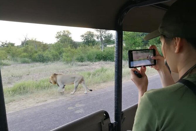 Private Morning Game Drive From Hazyview L Kruger National Park - Pickup Information