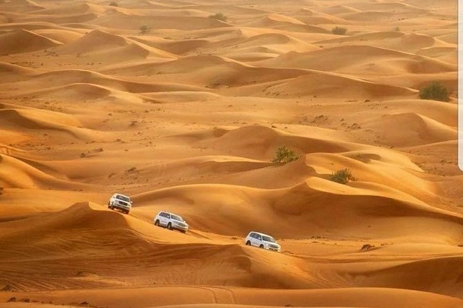 Private Red Dunes Desert Safari Dubai - Meeting and Pickup