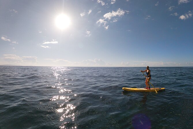 Private Stand Up Paddle Tour in Câmara De Lobos - Participation Guidelines