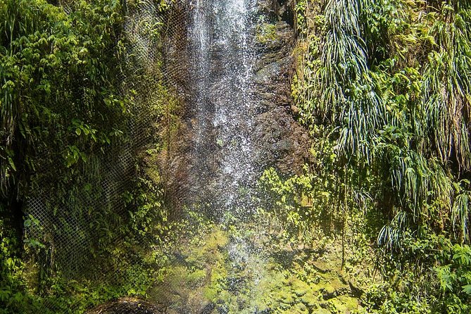 Private Tet Paul Nature Trail/ Mud Baths/ Waterfall - Toraille Waterfall