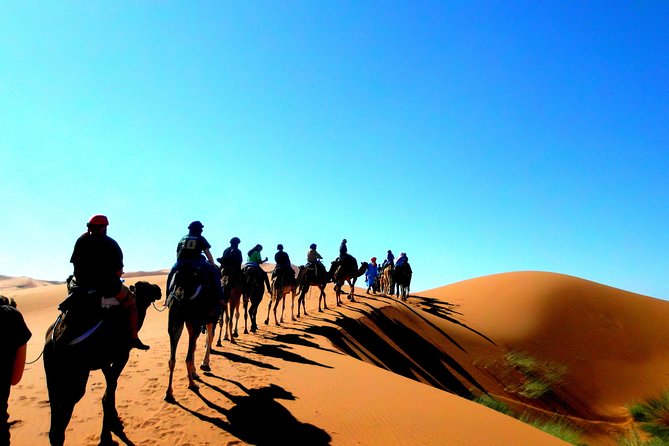 Private Tour 10 Days From Casablanca to Imperial Cities and Sahara Desert - Meals and Dining