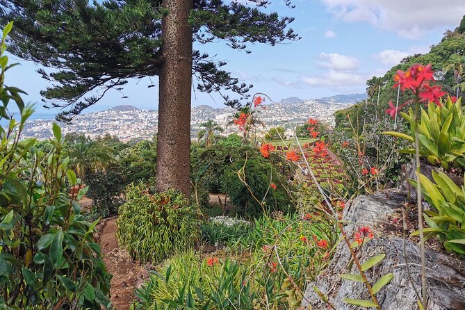 Private Tour Cable Car Toboggan Tropical Garden and Skywalk - Thrill on the Toboggan Ride