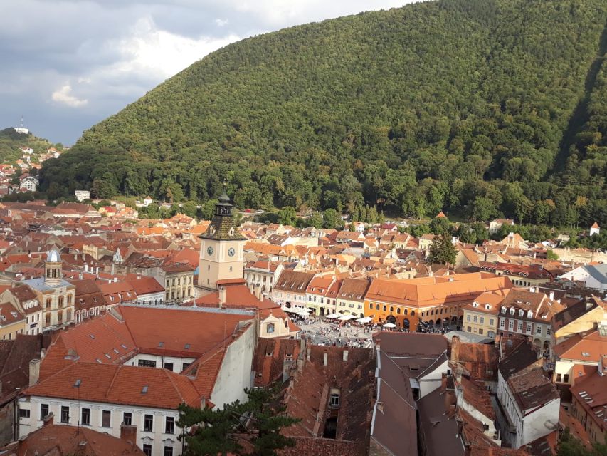 Private Transfer From OTP Airport to Brasov or Return - Service Features