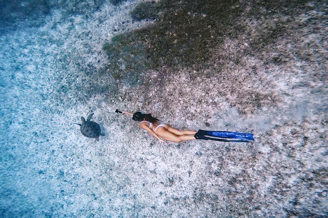 Private Turtle Spotting Snorkeling Excursion in Aruba - Customer Experiences and Highlights