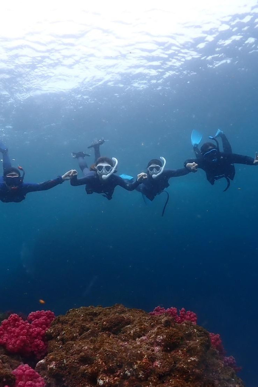 Private Unforgatable Snorkeling Day Trip in Izu (Shizuoka) - Snorkeling Experience