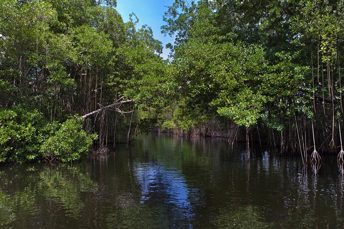 [PRIVATE] YS Falls, Black River, Pelican Bar - Entrance & Lunch - Jitney Ride and Zipline