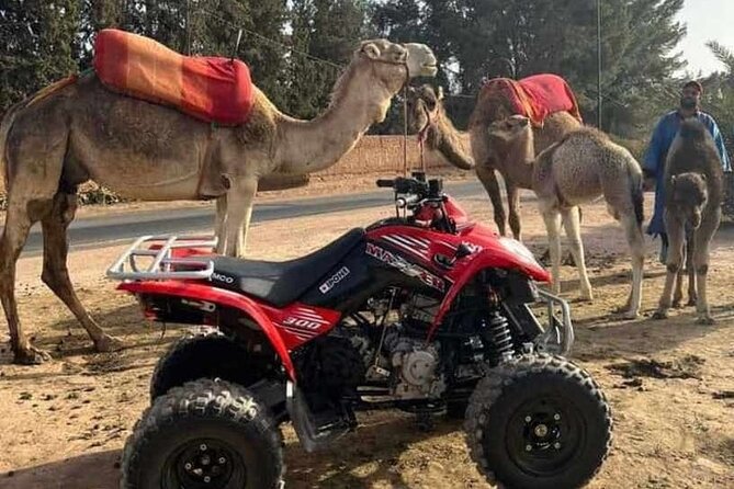 Quad Ride in the Palmeraie Marrakech - Reviews and Customer Feedback