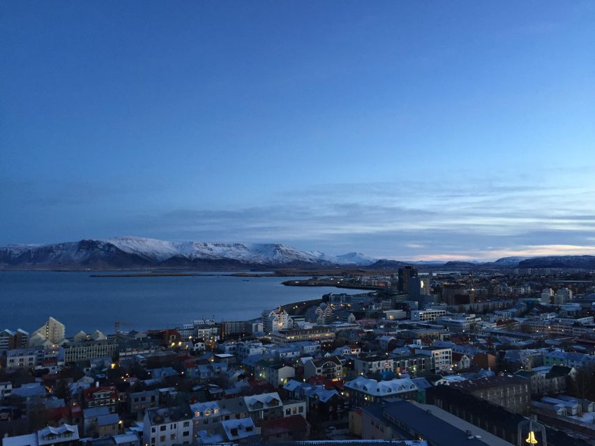 Reykjavik City - Half Day Private Tour - Al??ingi Parliament House Visit