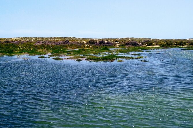 Ria Formosa Private 6 Hours Guided Tour in Classic Boat, Olhão. - Meeting and Pickup