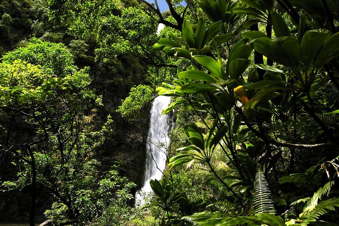 Road to Hana Luxury Limo-Van Tour With Helicopter Flight - Helicopter Flight