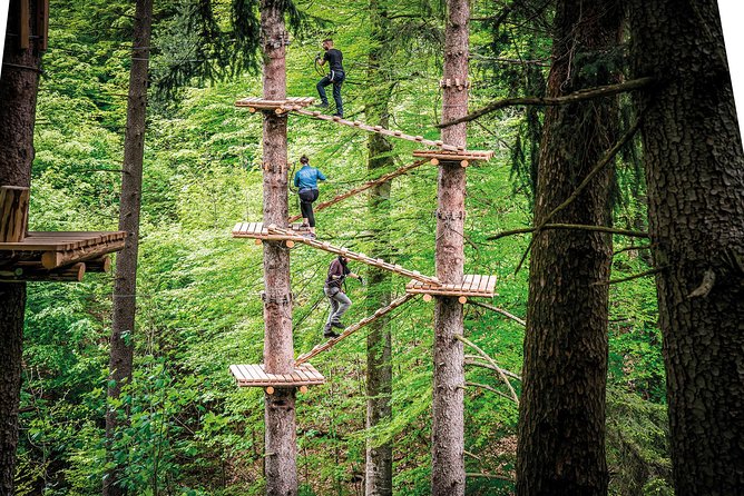 Ropes Park Interlaken - Rope Swings and Nerve-Testing Activities