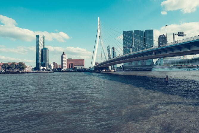 Rotterdam Like a Local: Customized Private Tour - Traveler Experiences and Feedback