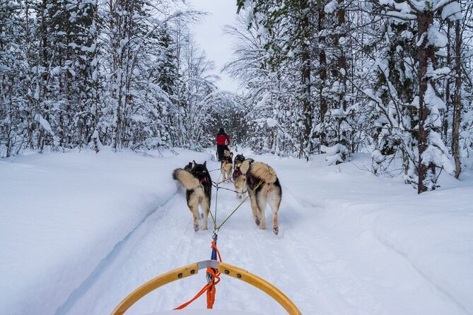 Rovaniemi: Husky Safari Tour & 6-10 Km Self-Driving Mushing - Meeting and Pickup Details