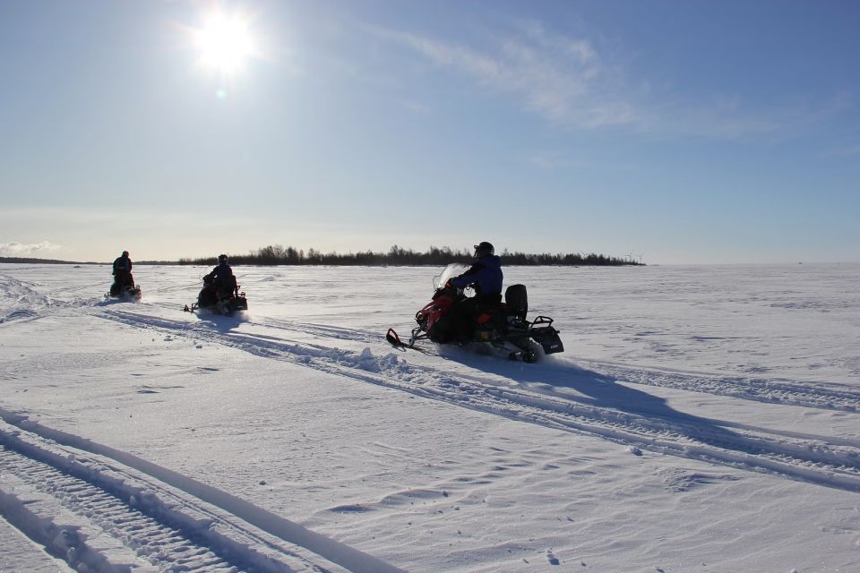 Rovaniemi: Snowmobile Adventure in Lapland - Restrictions