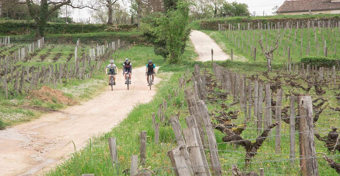 Saint-Émilion by Gravel Bike & Wine Tasting - Prestigious Vineyards of Saint-Émilion