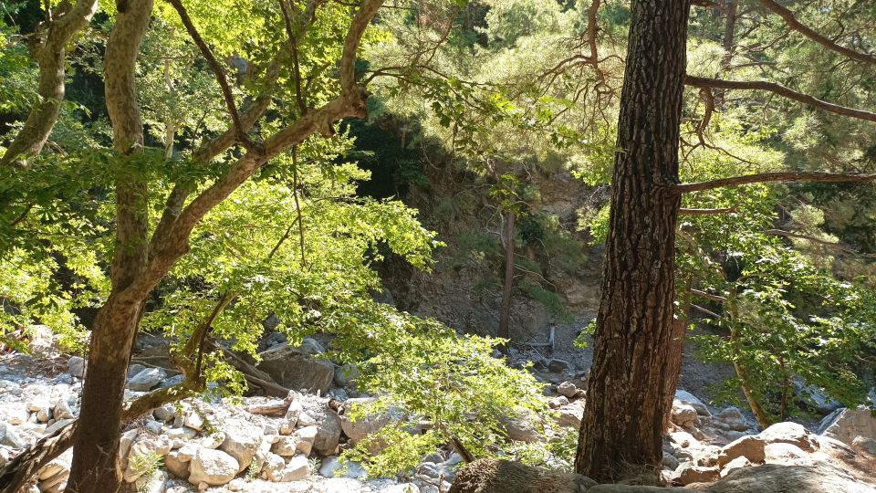 Samaria Gorge Private Transfer From Chania - Hiking Experience