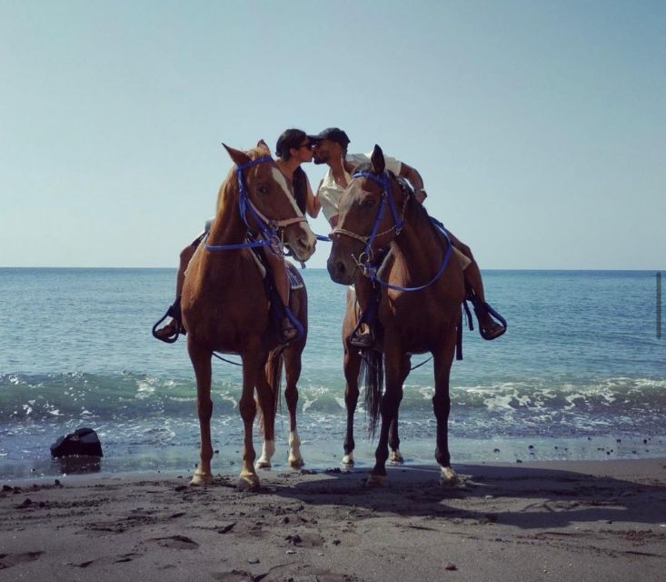 Santorini Fun Day: Horseriding- Wine Tasting - Tapas - Booking and Availability