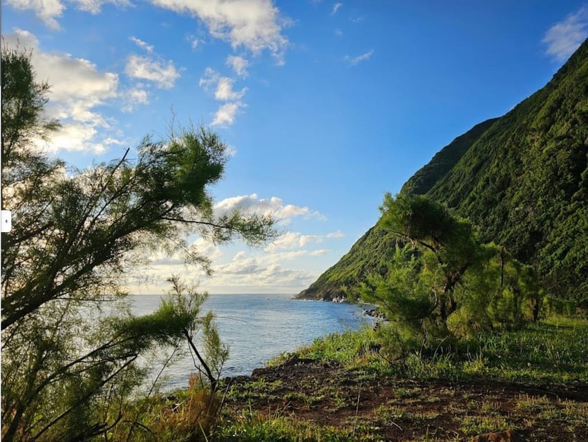 São Jorge: Island Round Trip Up to 7 Hours. - Parque Florestal Das Sete Fontes