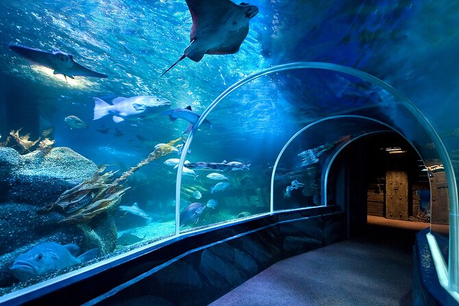 SEA LIFE Berlin Admission Ticket - Pricing and Reservation Options