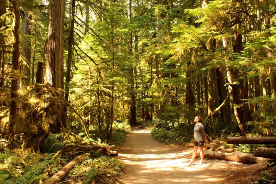 Seattle: Olympic National Park Small-Group Tour - Nature Walks and Scenery