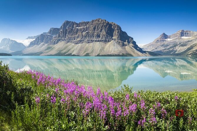 Self-Guided Audio Driving Tour in Icefields Parkway - Tour Participant Requirements