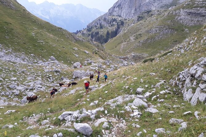 Self - Guided Peaks of the Balkans Tour in 7 Days - Meeting and Pickup