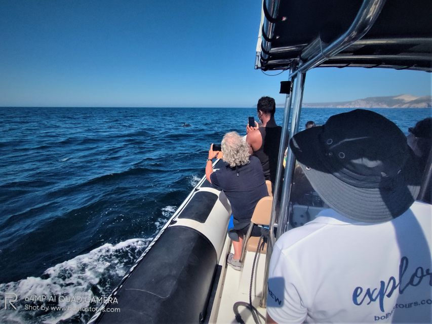 Sesimbra: Dolphin Watching Boat Tour With Biologist Guide - Coastal Bays and Grottoes