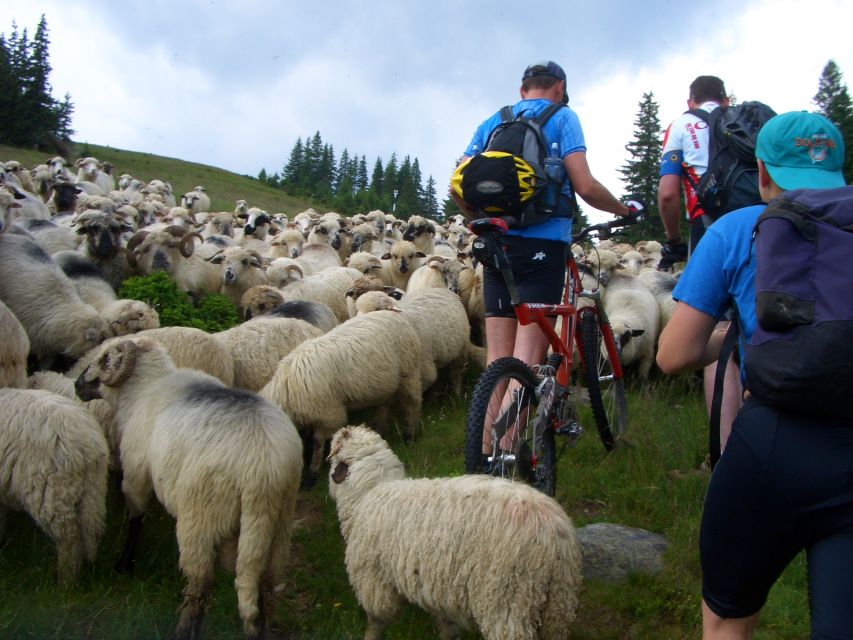 Sibiu: Guided Highlights E-bike Tour - Itinerary Details