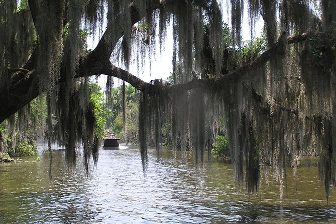 Small-Group Bayou Airboat Ride With Transport From New Orleans - Health and Safety Guidelines