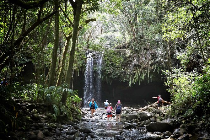 Small Group Waterfall and Rainforest Hiking Adventure on Maui - Physical Requirements and Restrictions