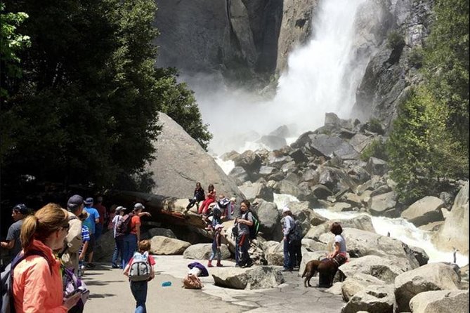 Small Group Yosemite and Giant Sequoias Day Trip From San Francisco - Accessibility and Requirements