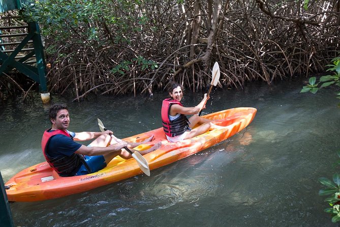 SoCoHo Half Day - Mangrove Kayak & Reef Snorkeling - Booking Confirmation