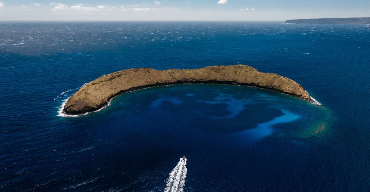 South Maui: Molokini Volcanic Crater Snorkeling Cruise - What to Expect Underwater