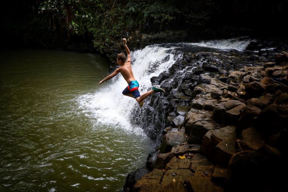 South Maui: Waterfall Tour W/ Kayak, Snorkel, and Hike - Hiking the Rainforest