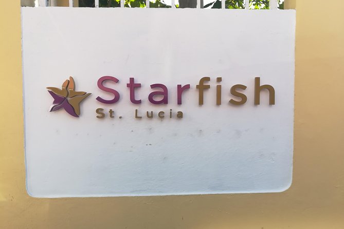 St Lucia Airport Transfer to Starfish St Lucia - Private Tour and Personalization