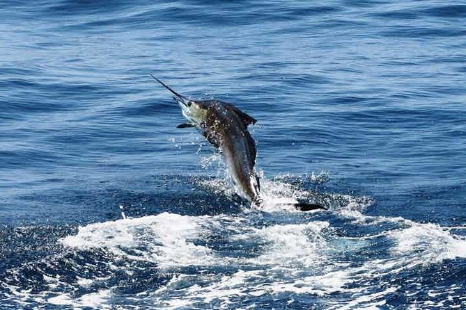 St. Lucia Deep Sea Fishing - Booking and Cancellation Policy