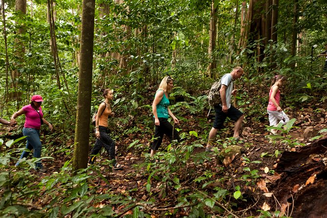 St. Lucia Zip Line, Aerial Tram and Hiking Tour Ultimate 3 - Tour Duration and Group Size