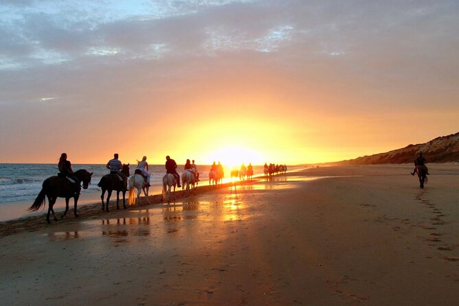 Sunset Beach Horseback Riding - Reviews Highlights