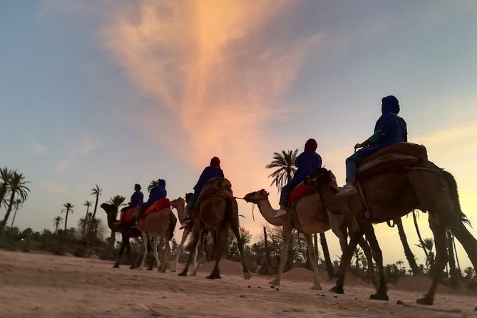 Sunset Camel Ride in the Palm Grove Of Marrakech - Exploring the Berber Home