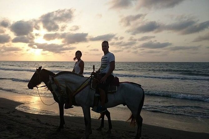 Sunset Horseback Riding Tour From Punta Cana - Group Size and Weight Limit