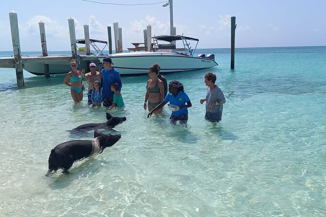 Swimming Pigs Island Turtles and Snorkeling Excursion 4 Stops - Group Size