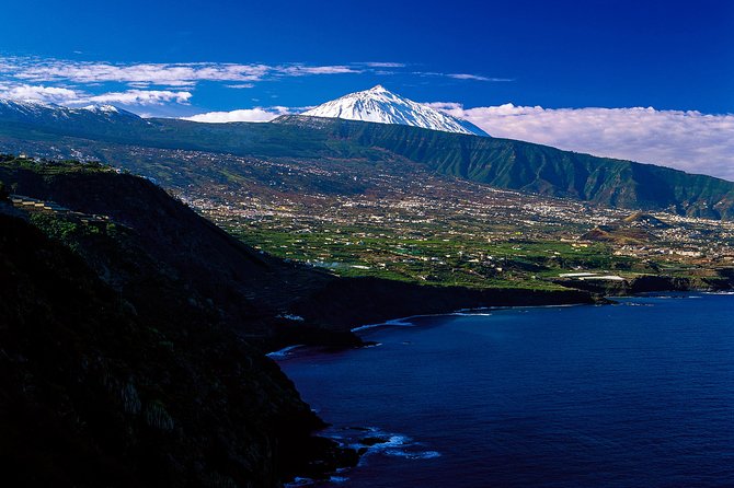 Tenerife North Private Tour: Through Villages and Ports - Accessibility and Restrictions