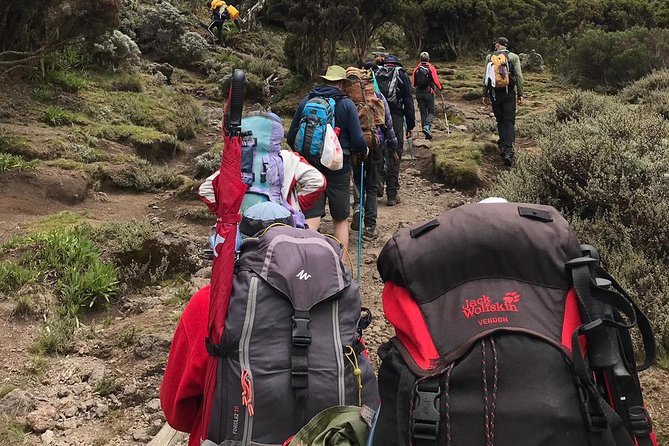 The Best 7 Days Kilimanjaro Hiking Machame Route in  & 2025 - Health Considerations