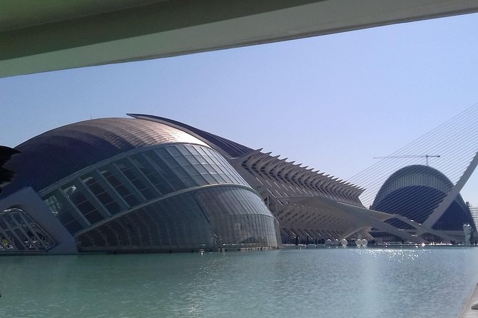 The City of Arts and Sciences in Valencia - Stunning Futuristic Architecture