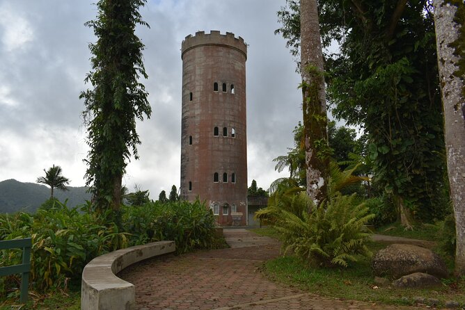 The El Yunque Rainforest Guided Day Tour From San Juan - Panoramic Forest Views